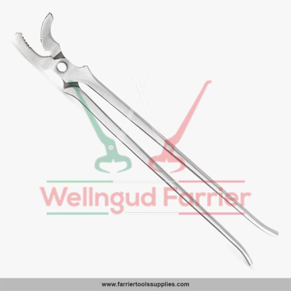 Curved Jaw Clincher