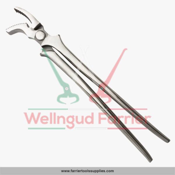 Curved Nail Low Jaw Clincher