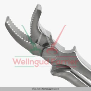 Curved Nail Low Jaw Clincher