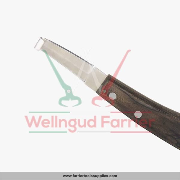 double_edge_hoof_knife_1