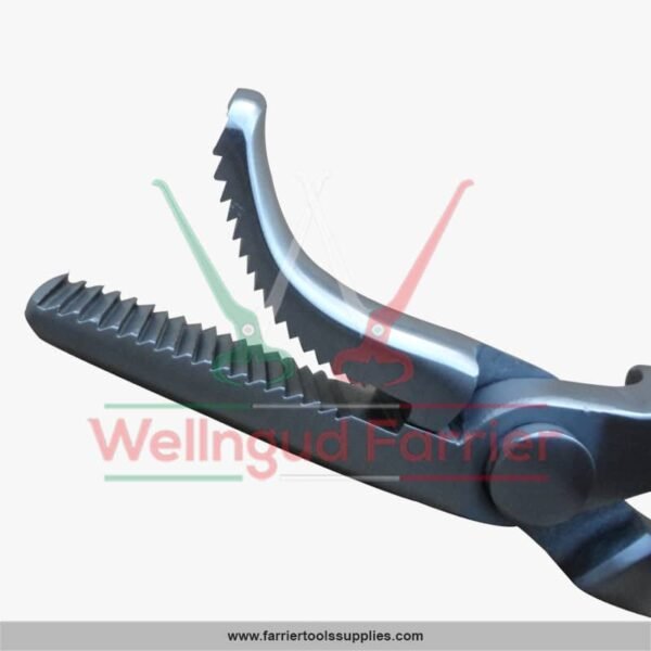 well_n_gud_farrier-nail-clincher-1